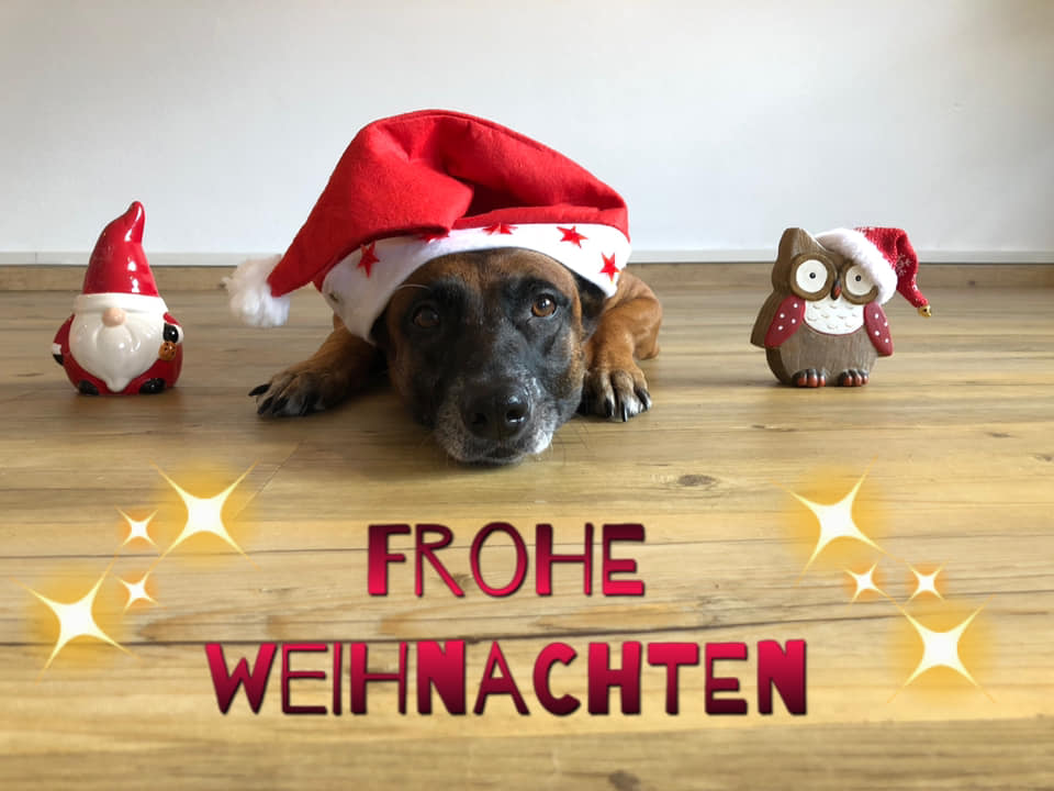 Weihnachten 2018