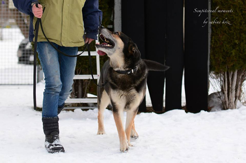 zeus